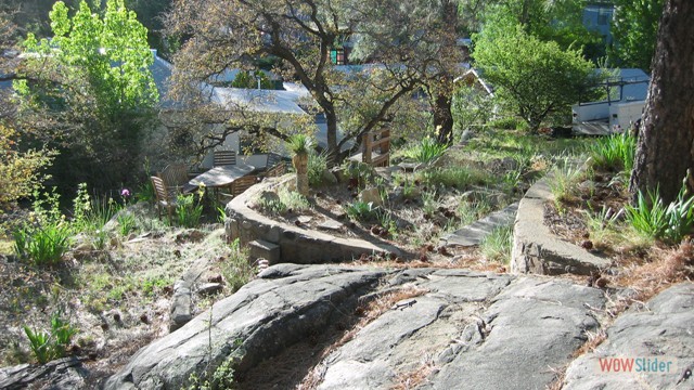 Hill Yard Down web